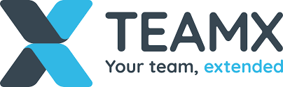 Freelance copywriting client: Team X